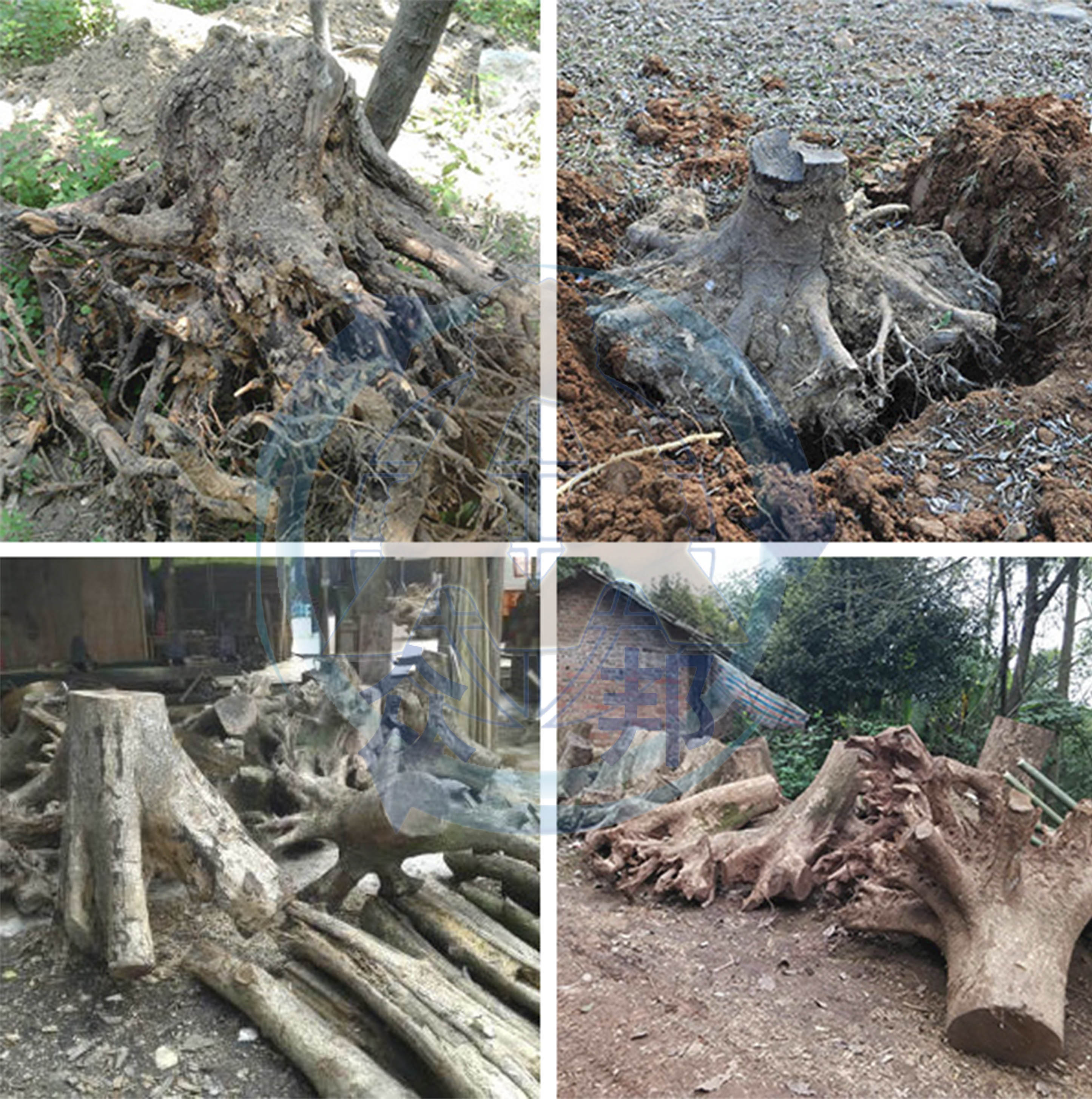 樹根破碎機破碎原料 樹根破碎機破碎原料